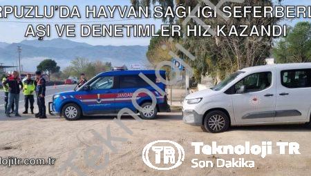 Karpuzlu’da Hayvan Sağlığı Seferberliği: Aşı ve Denetimler Hız Kazandı