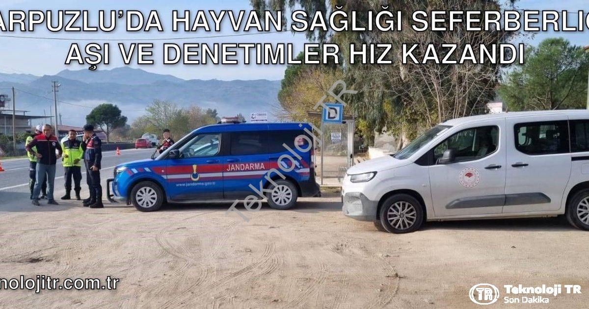 "Karpuzlu’da Hayvan Sağlığı Seferberliği: Aşı ve Denetimler Hız Kazandı" başlıklı haber için fotorea