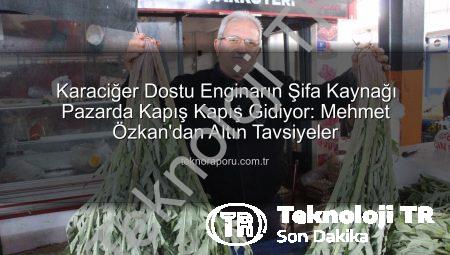 Karaciğer Dostu Enginar Pazarda Göz Kamaştırıyor: Uzmanlar ve Vatandaşlar Şifasını Onaylıyor