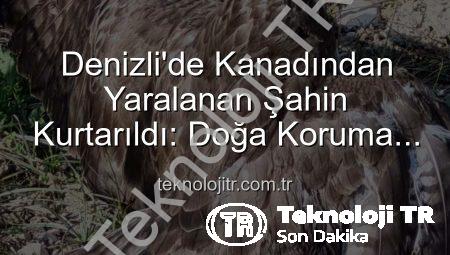 Denizli’de Kanadından Yaralanan Şahin Kurtarıldı: Doğa Koruma Altına Alınıyor