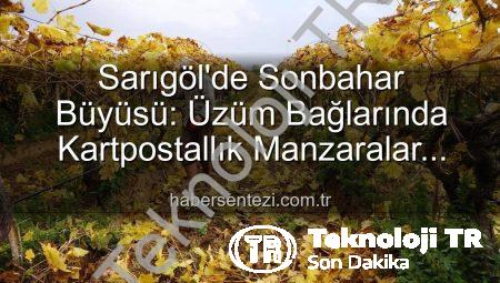 Sarıgöl’de Sonbaharın Büyüsü: Üzüm Bağlarında Kartpostallık Görüntüler Eşliğinde Budama Zamanı