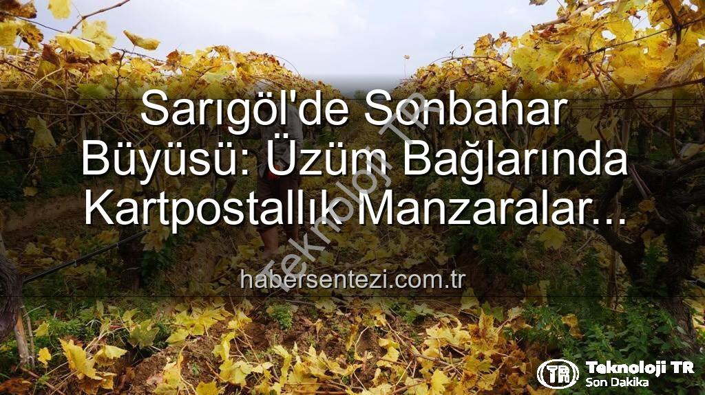 Sarıgöl üzüm bağları - Sarıgöl'de Sonbaharın Büyüsü: Üzüm Bağlarında Kartpostallık Görüntüler Eşliğinde Budama Zamanı