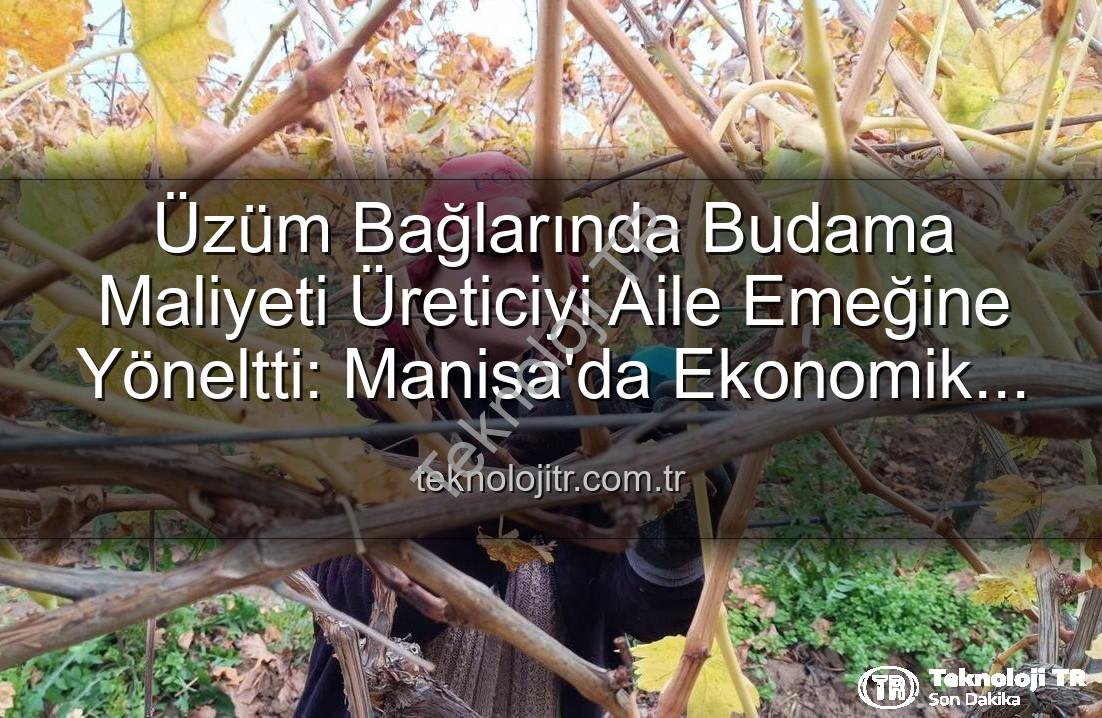 Üzüm Bağlarında Budama Maliyeti Üreticiyi Aile Emeğine Yöneltti: Manisa'da Ekonomik Çözümler