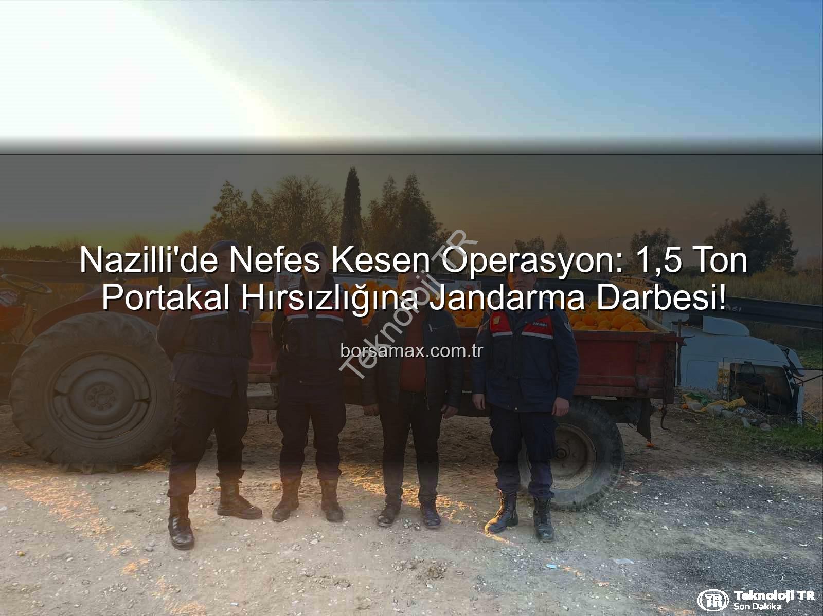 Nazilli'de Dev Operasyon: 1,5 Ton Portakal Hırsızlığı Jandarmaya Takıldı, Şüpheliler Yakalandı