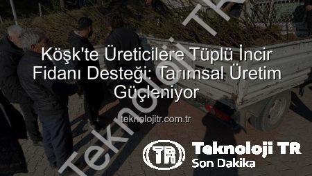 Köşk’te Üreticilere Tüplü İncir Fidanı Desteği: Tarımsal Üretim Güçleniyor