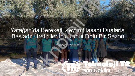 Yatağan’da Bereketli Zeytin Hasadı Dualarla Başladı: Üreticiler İçin Umut Dolu Bir Sezon