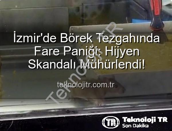 börek tezgahında fare - İzmir'de Börek Tezgahında Fare Paniği: Hijyen Skandalı Mühürlendi!