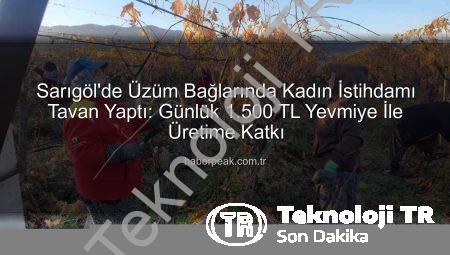 Sarıgöl’de Üzüm Bağlarında Kadın İstihdamı Rüzgarı: Günlük 1.500 TL Yevmiye ile Üretime Katkı