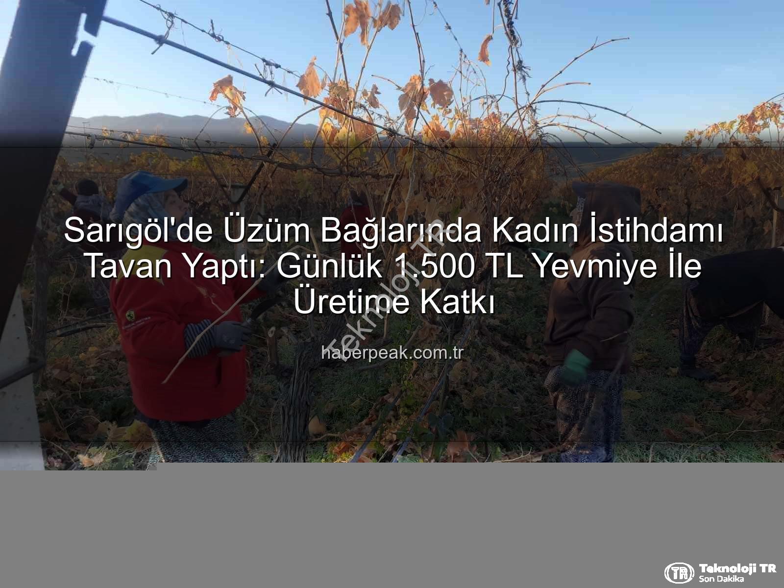 Sarıgöl'de Üzüm Bağlarında Kadın İstihdamı Rüzgarı: Günlük 1.500 TL Yevmiye ile Üretime Katkı