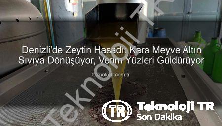 Denizli’de Zeytin Hasadı: Kara Meyve Altın Sıvıya Dönüşüyor, Verim Yüzleri Güldürüyor