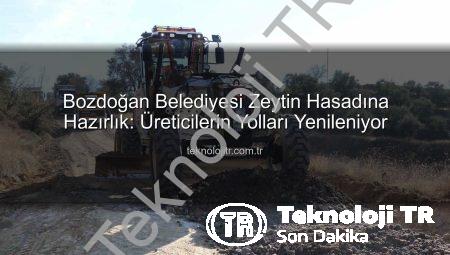 Bozdoğan Belediyesi Zeytin Hasadına Hazırlık: Üreticilerin Yolları Yenileniyor