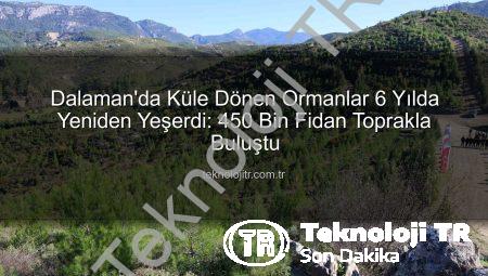 Dalaman’da Küle Dönen Ormanlar 6 Yılda Yeniden Yeşerdi: 450 Bin Fidan Toprakla Buluştu