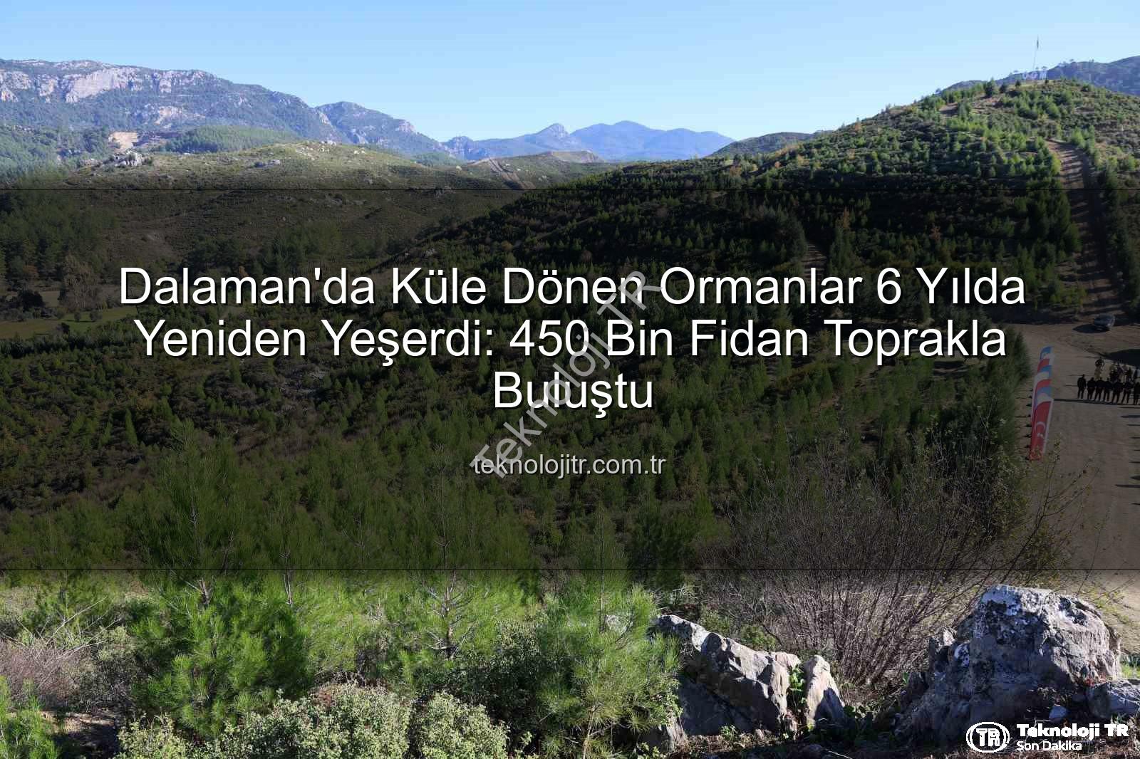 orman yangını sonrası yeniden ağaçlandırma - Dalaman'da Küle Dönen Ormanlar 6 Yılda Yeniden Yeşerdi: 450 Bin Fidan Toprakla Buluştu