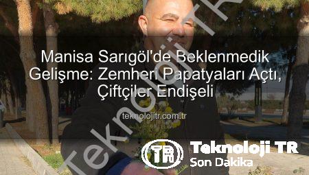 Manisa Sarıgöl’de Beklenmedik Gelişme: Zemheri Papatyaları Açtı, Çiftçiler Endişeli